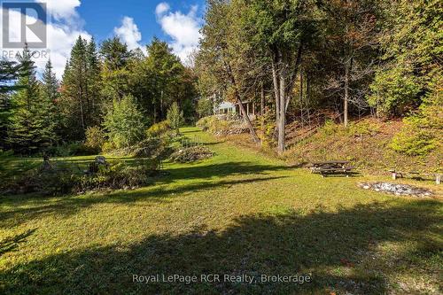 360458 Road 160, Grey Highlands, ON - Outdoor With View