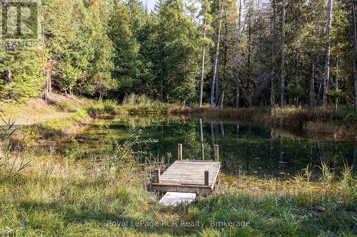 360458 Road 160, Grey Highlands, ON - Outdoor