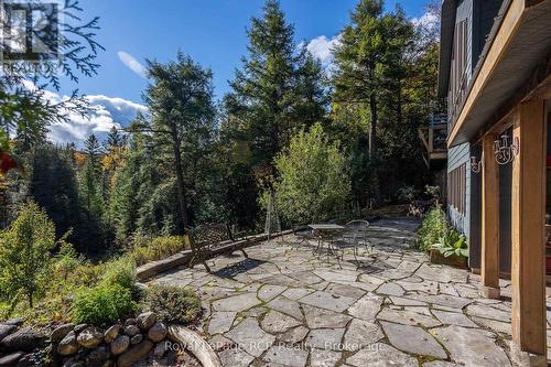 360458 Road 160, Grey Highlands, ON - Outdoor