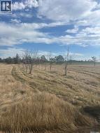 Dieter Martin Greenhouse LTD.  Langham, SK S0K 2L0