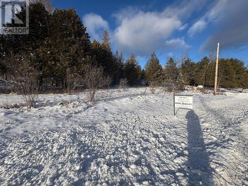 5882 Mcdonalds Corners Road, Lanark Highlands, ON 