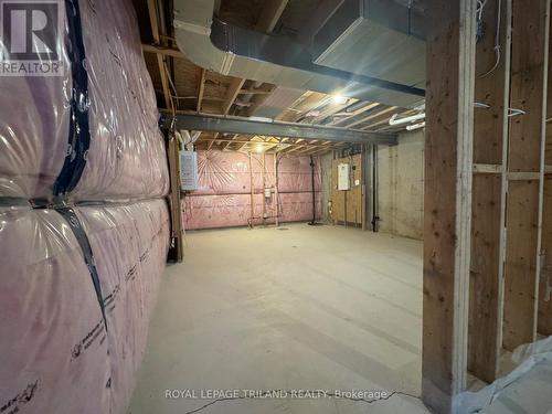 49 - 63 Compass Trail, Central Elgin, ON - Indoor Photo Showing Basement