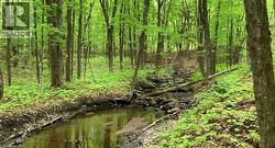 LOT 1 COLONIAL Road  Minden, ON K0M 2K0