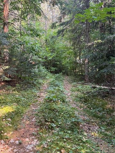 19 A. Prosser Rd, Parkindale, NB 