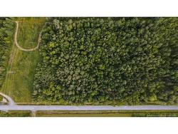 Lot Doucet RD  Rivière-Verte, NB E7B 1T7