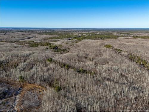 100 Acres Mckinnon Rd, Miramichi, NB 