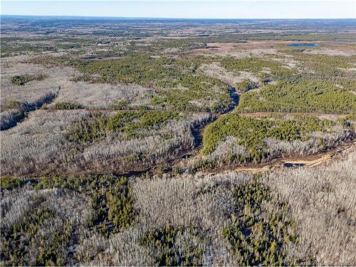 100 Acres Mckinnon Rd, Miramichi, NB 