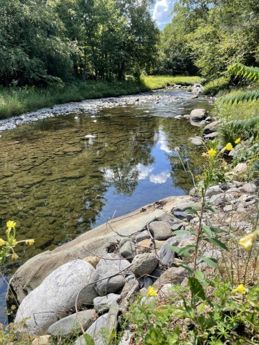 Vue sur l'eau - 127 Ch. Mercier, Bury, QC - Outdoor With Body Of Water With View