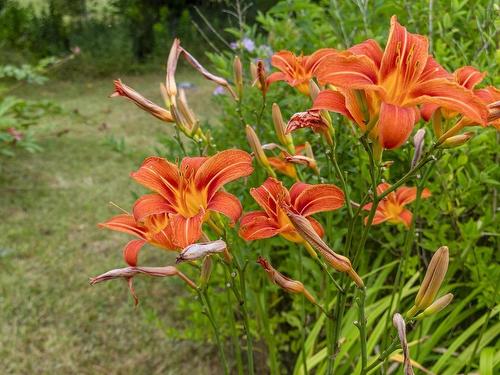 140 Hartling Road, West Quoddy, NS 