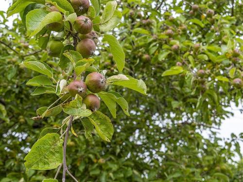 140 Hartling Road, West Quoddy, NS 