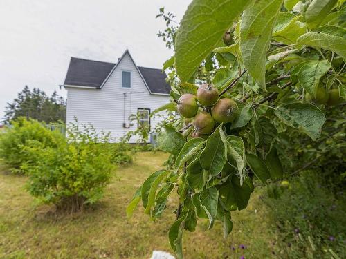 140 Hartling Road, West Quoddy, NS 