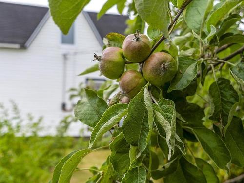 140 Hartling Road, West Quoddy, NS 