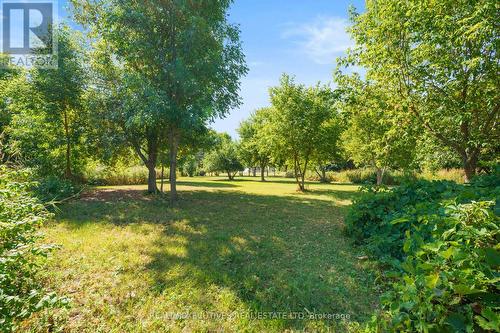 12705 Maple Ridge Road, North Dundas, ON - Outdoor