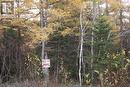 34-60 Rattling Brook Road, Norris Arm, NL 