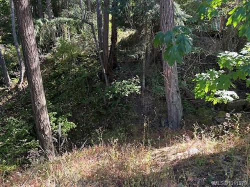 1376 Algonkin Rd, Duncan, BC 