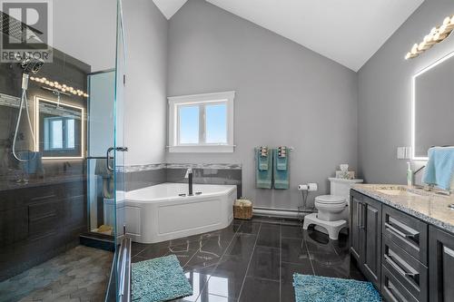 9A Horse Nap Lane, Ferryland, NL - Indoor Photo Showing Bathroom