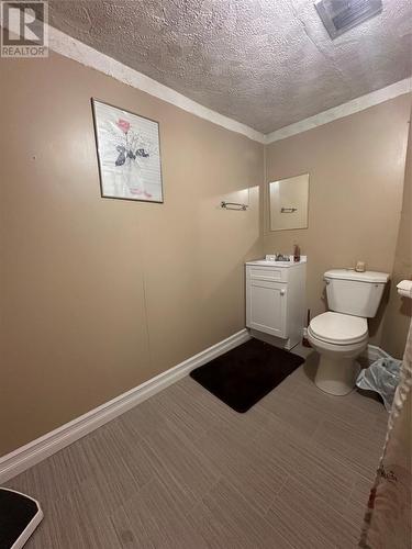 177 Main Road, Lewins Cove, NL - Indoor Photo Showing Bathroom