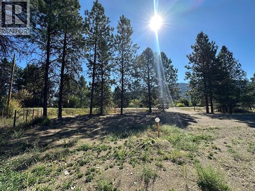 Trees giving the property some add shade and privacy. - 5115 41 Highway, Grand Forks, BC 