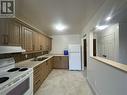 422 Westmount Avenue Unit# B16, Sudbury, ON  - Indoor Photo Showing Kitchen With Double Sink 