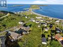 9 Horse Nap Lane, Ferryland, NL  - Outdoor With Body Of Water With View 