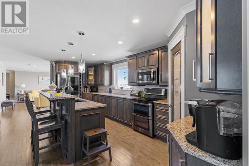 9 Horse Nap Lane, Ferryland, NL - Indoor Photo Showing Kitchen With Upgraded Kitchen