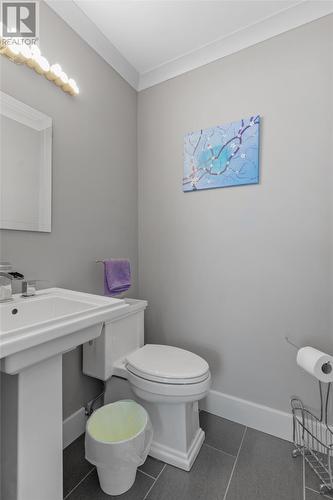 9 Horse Nap Lane, Ferryland, NL - Indoor Photo Showing Bathroom