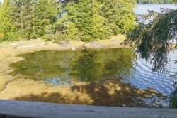 507-1971 Harbour Dr  Ucluelet, BC V0R 3A0