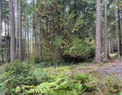 849 Mary Rd  Gabriola Island, BC V0R 1X3