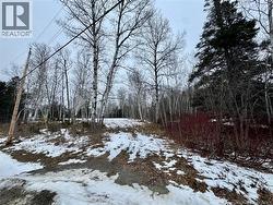 307 Doyleville Road  Lorne, NB E8G 1H3