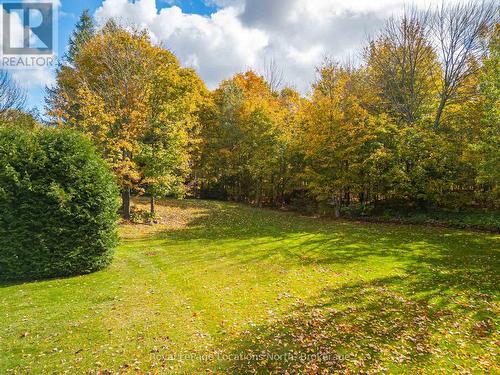 103478 Grey 18 Road, Meaford, ON - Outdoor