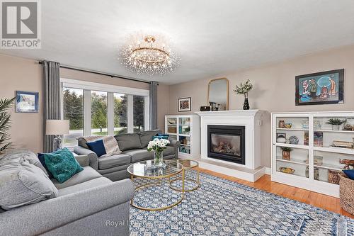 103478 Grey 18 Road, Meaford, ON - Indoor Photo Showing Living Room With Fireplace