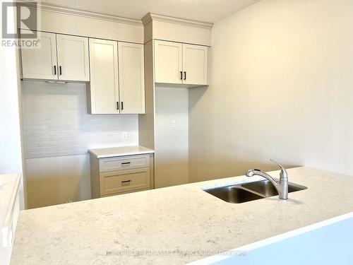 33 - 295 Tanglewood Drive, Hamilton, ON - Indoor Photo Showing Kitchen With Double Sink