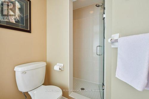 229 Mistral Way, Ottawa, ON - Indoor Photo Showing Bathroom