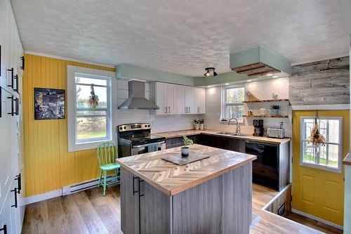 Cuisine - 11133 Boul. Rideau, Rouyn-Noranda, QC - Indoor Photo Showing Kitchen With Double Sink