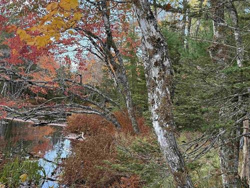 Lot 7 Old Dam Road, Eight Island Lake, NS 