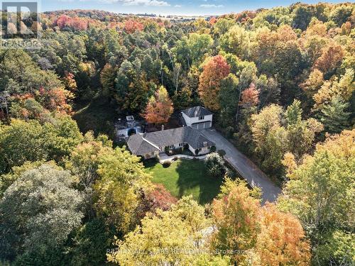 40 Algonquin Forest Drive, East Gwillimbury, ON - Outdoor With View