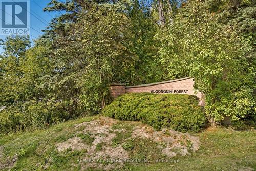 40 Algonquin Forest Drive, East Gwillimbury, ON - Outdoor