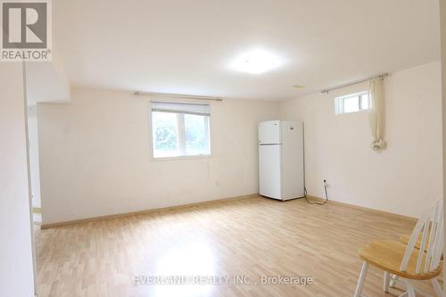 Lower - 49 Falling River Drive, Richmond Hill, ON - Indoor