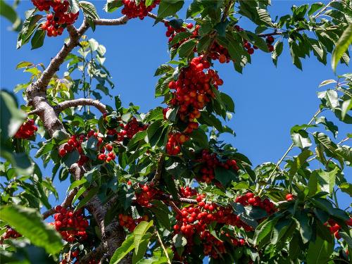 2805 Aikins Loop, Naramata, BC 