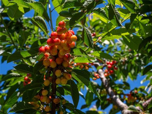 2805 Aikins Loop, Naramata, BC - Outdoor