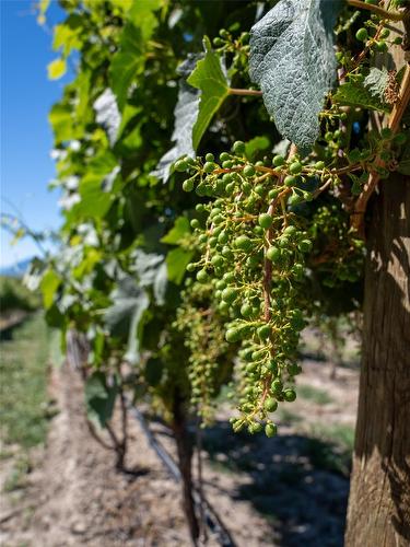 2805 Aikins Loop, Naramata, BC - Outdoor