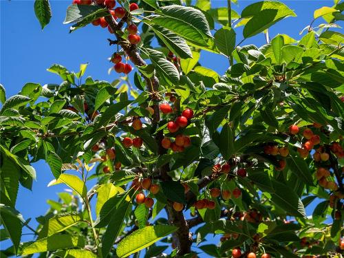 2805 Aikins Loop, Naramata, BC - 