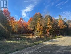 LOT 2 VANSICKLE ROAD N  Havelock-Belmont-Methuen (Belmont-Methuen), ON K0L 1C0