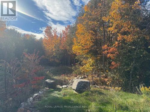 Lot 2 Vansickle Road N, Havelock-Belmont-Methuen (Belmont-Methuen), ON 