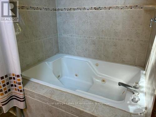 15588 Highway 35, Algonquin Highlands (Stanhope), ON - Indoor Photo Showing Bathroom