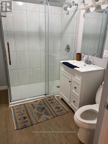 15588 Highway 35, Algonquin Highlands (Stanhope), ON - Indoor Photo Showing Bathroom