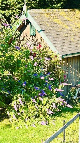 347 Pritchard Rd, Comox, BC 