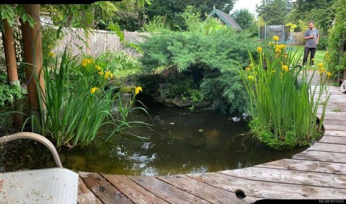 347 Pritchard Rd, Comox, BC 