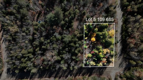 Vue d'ensemble - Rue Marcelle-Ferron, Chertsey, QC 