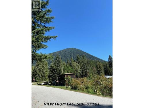 Parcel C Columbia Street, New Denver, BC 